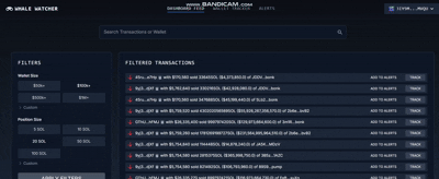 Solana Whale Tracker